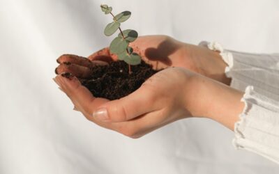 Quand bonne santé rime avec matériaux écologiques